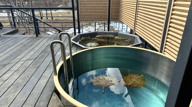 купель для бани: виды купелей, размеры, материалы