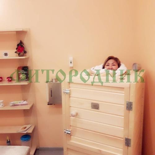 мини-сауна «sauna by siberia» с парогенератором «urfine»