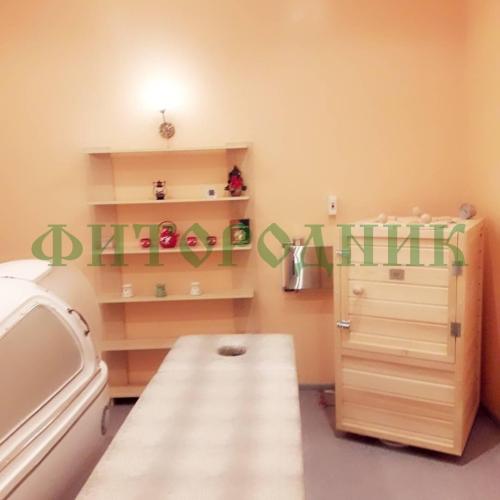 мини-сауна «sauna by siberia» с парогенератором